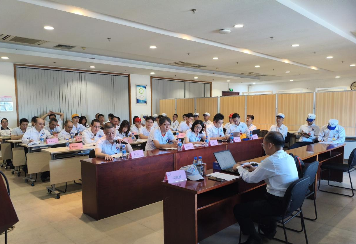 Auditorský tým SGS